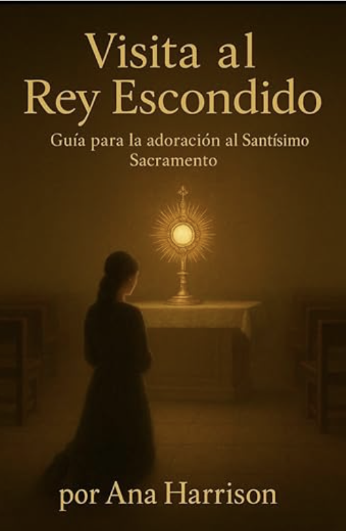 Portada del libro Visita al Rey Escondido